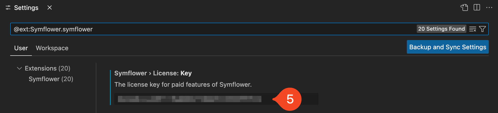 Enter your Symflower license key in the field labelled &quot;License Key&quot; in Symflower&#39;s extension settings.