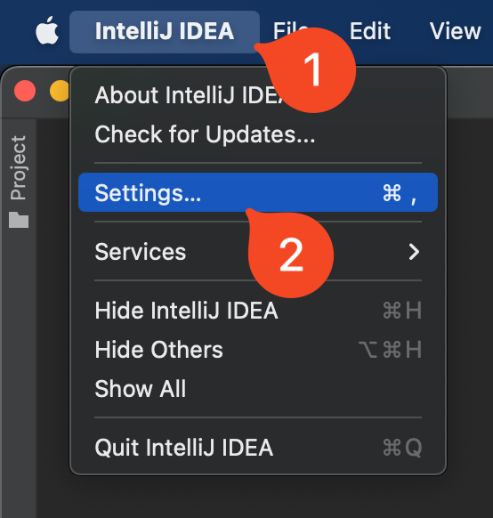 &quot;Click IntelliJ IDEA &gt; Settings or File &gt; Settings:&quot;